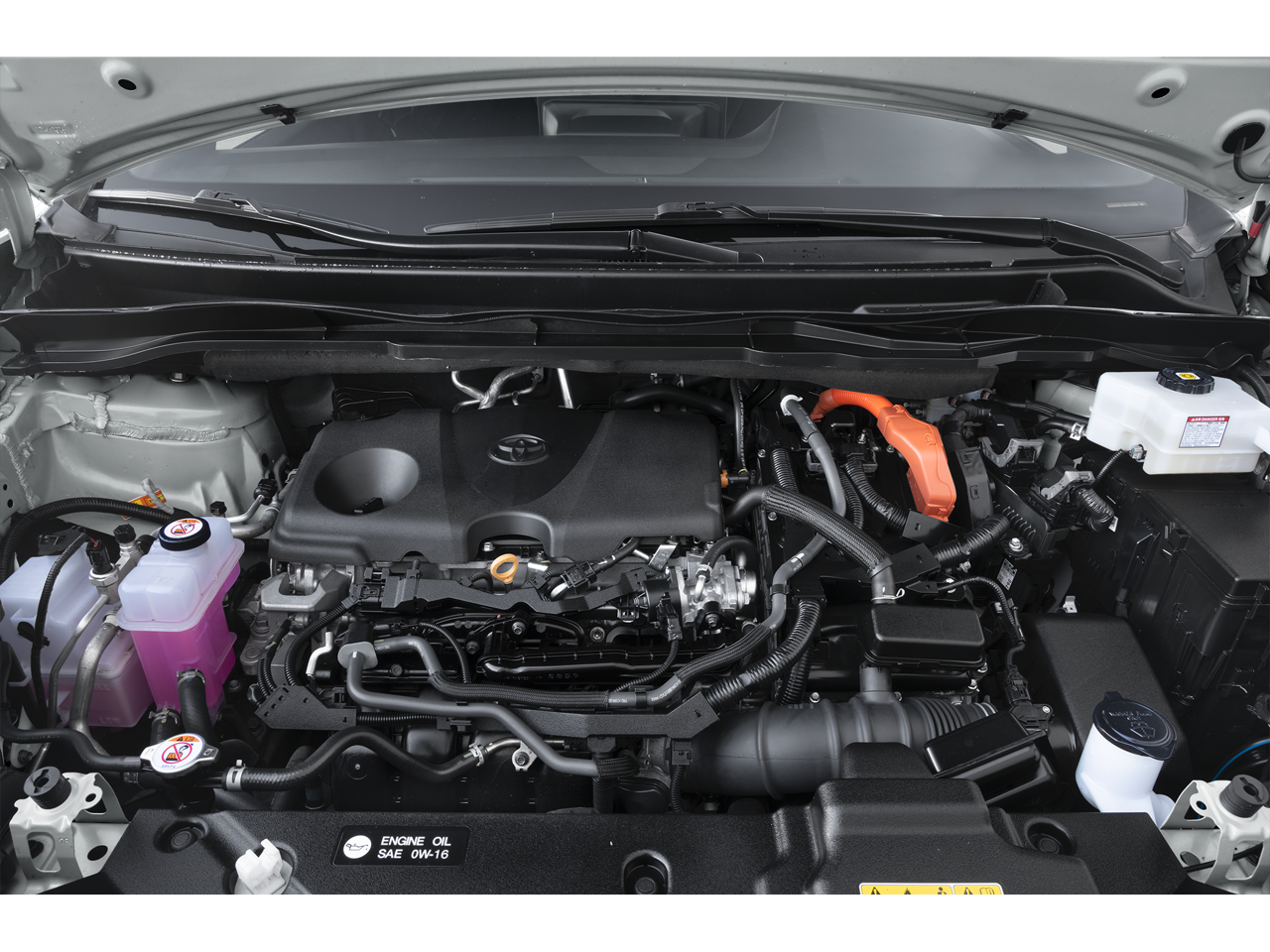 2025 Toyota Sienna Woodland Edition