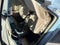 2015 Volkswagen Beetle Convertible 1.8T