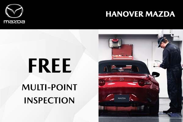 FREE Multi-Point Inspection